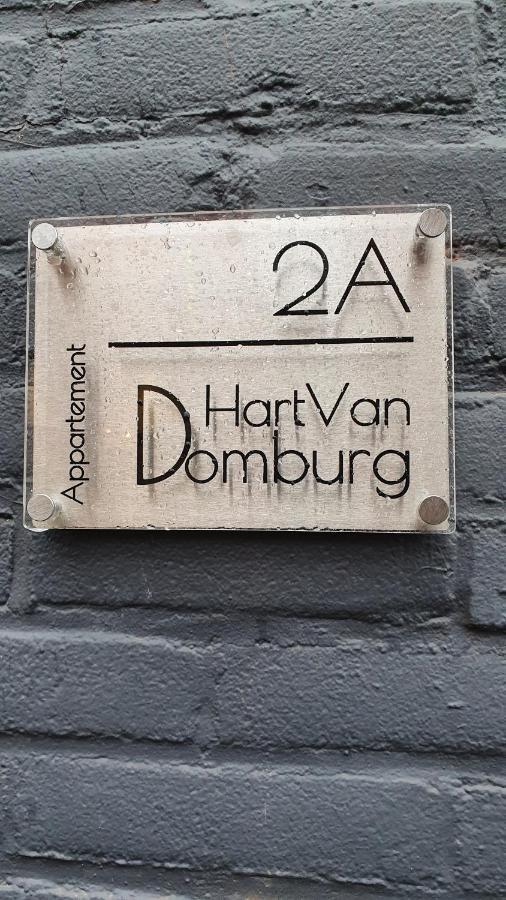 Schitterend Appartement Hartvandomburg Kültér fotó